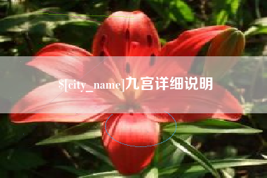 重庆九宫详细说明