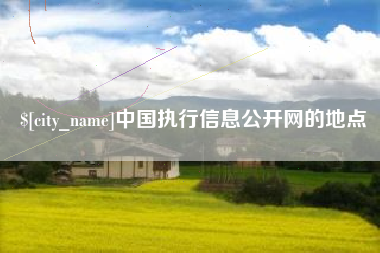 重庆中国执行信息公开网的地点