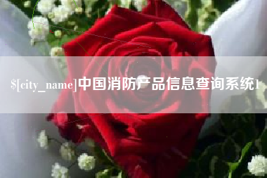 重庆中国消防产品信息查询系统1