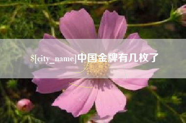 重庆中国金牌有几枚了