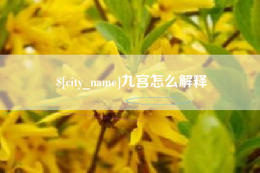 重庆九宫怎么解释