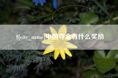 重庆中国夺金有什么奖励