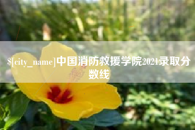 重庆中国消防救援学院2021录取分数线