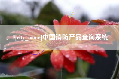 重庆中国消防产品查询系统