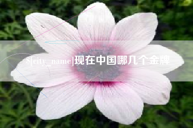重庆现在中国哪几个金牌