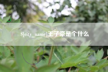 重庆王子豪是个什么