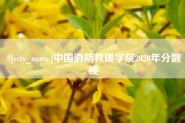 重庆中国消防救援学院2020年分数线