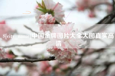 重庆中国金牌图片大全大图真实高清