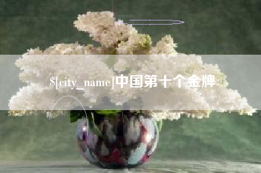 重庆中国第十个金牌