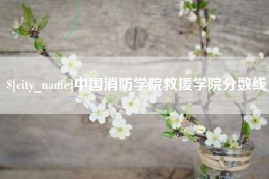 重庆中国消防学院救援学院分数线