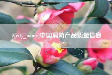 重庆中国消防产品质量信息