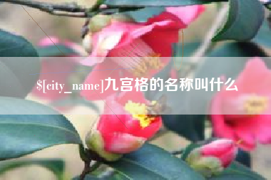 重庆九宫格的名称叫什么