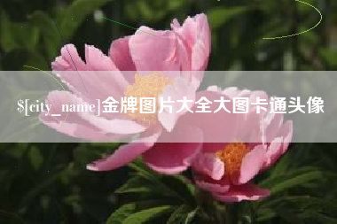 重庆金牌图片大全大图卡通头像
