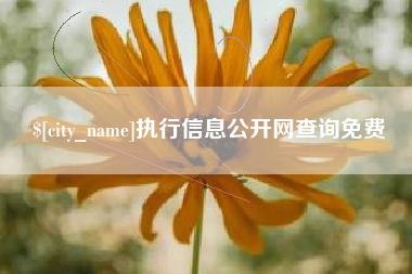 重庆执行信息公开网查询免费