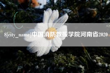 重庆中国消防救援学院河南省2020