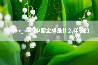 重庆中国金牌是什么样子的